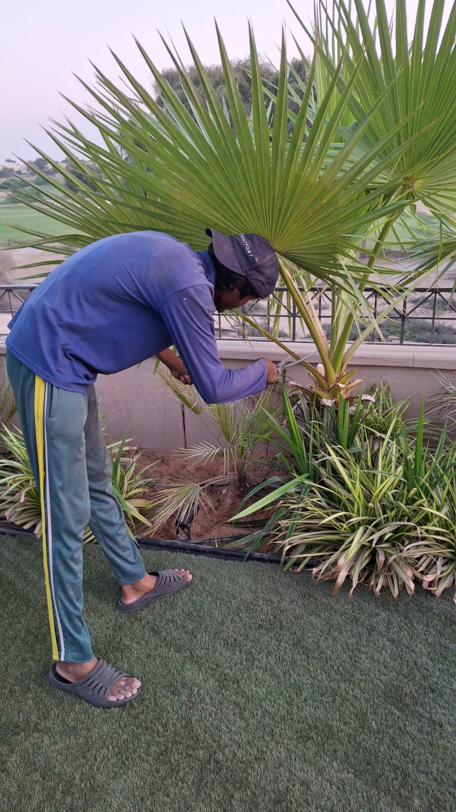 Usman Sanu Landscaping