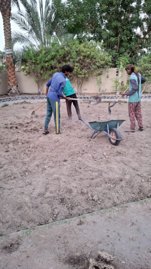 Usman Sanu Landscaping